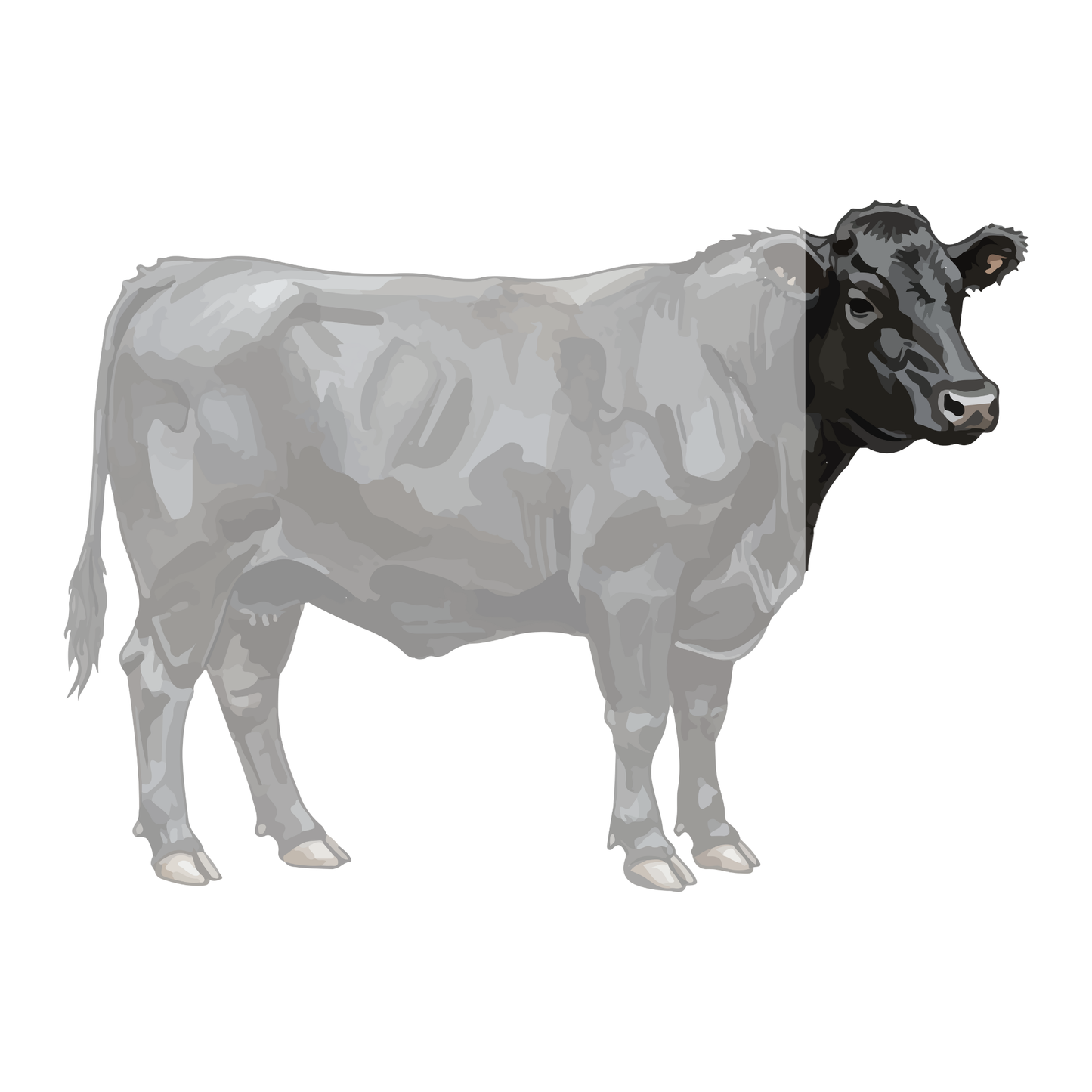 1/16 Beef Box — Sprout-Finished Variety (~35 lbs)