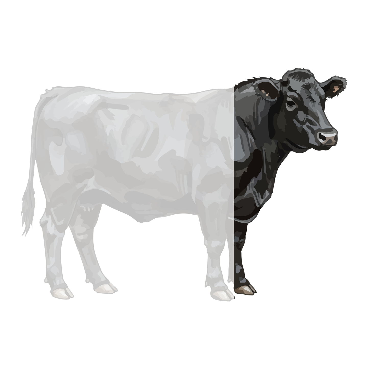 1/8 Beef Box — Sprout-Finished Family Variety (~70 lbs)