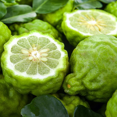 Bergamot Essential Oil