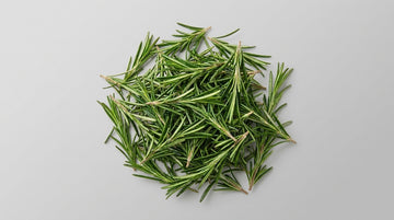 Rosemary Extract