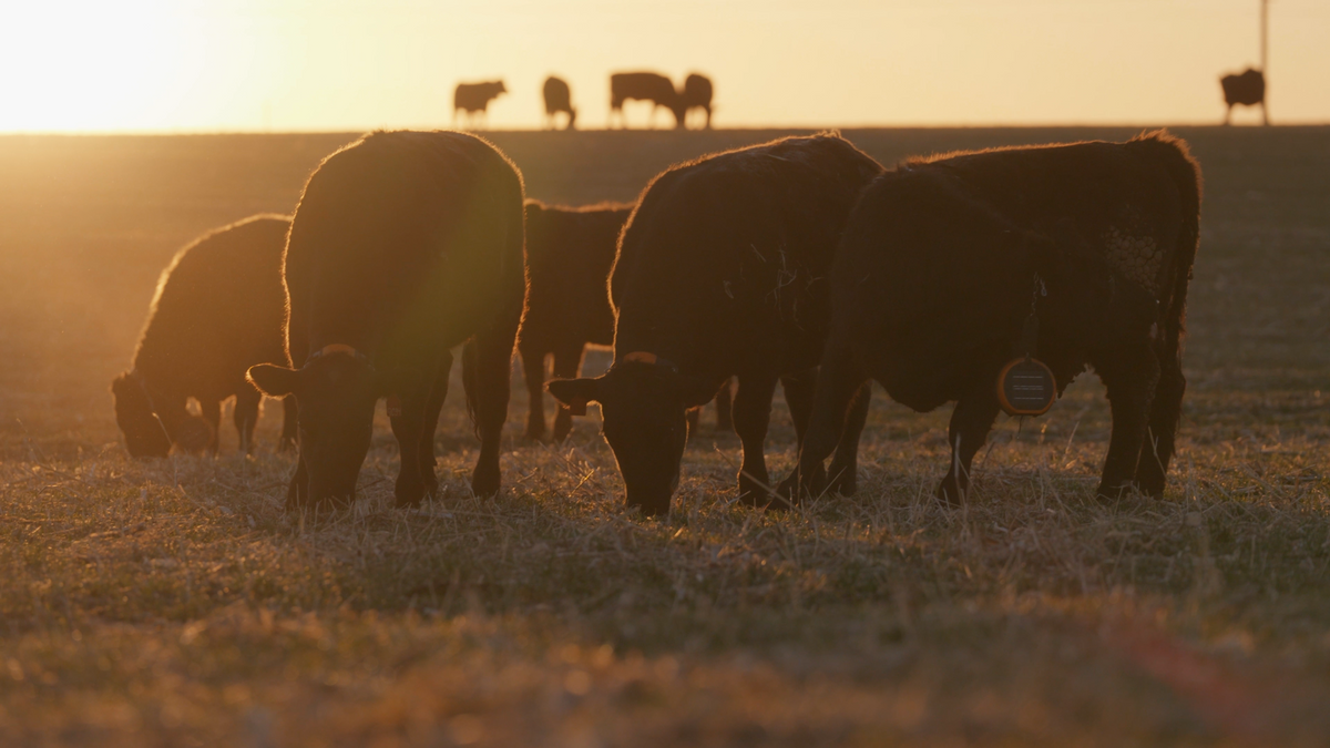 THE BEEF YOUR FAMILY DESERVES.
THE PROOF TO BACK IT UP.