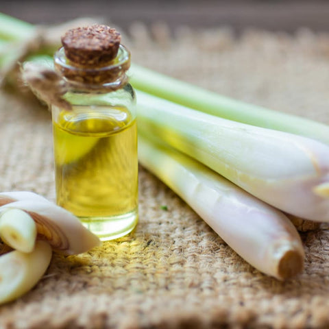 Lemongrass