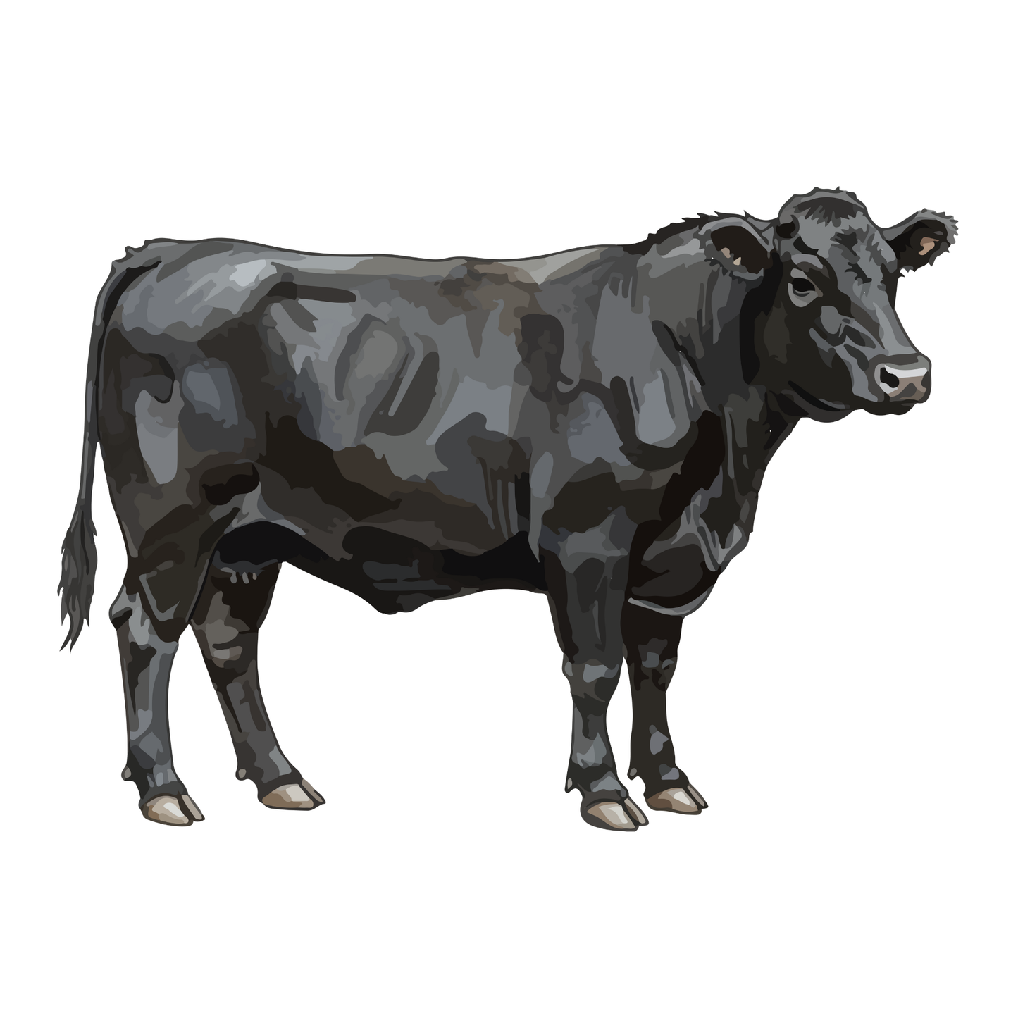 Ultimate Ranch Partnership - 560lb Custom-Cut Whole Beef Experience